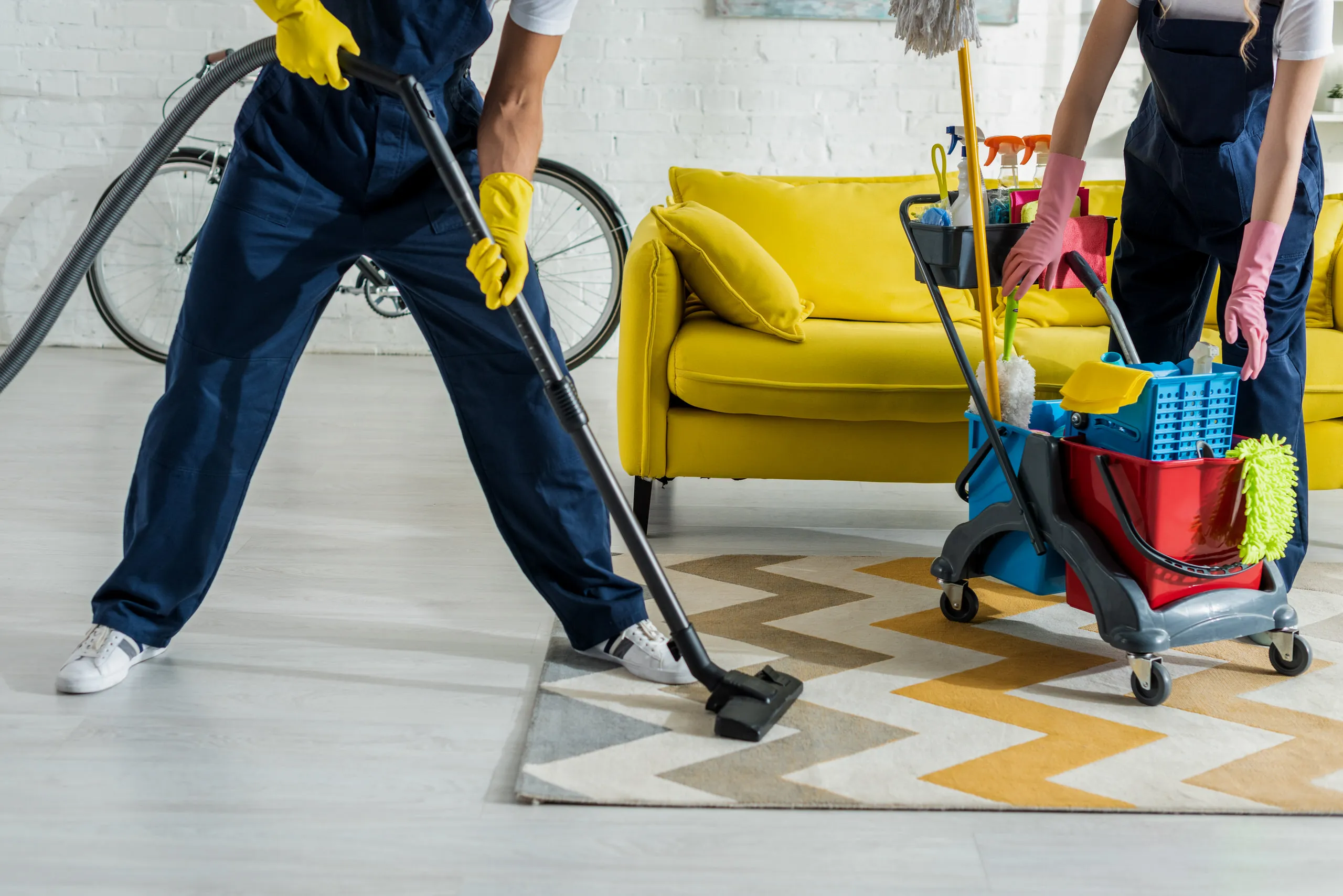 Professional carpet cleaning